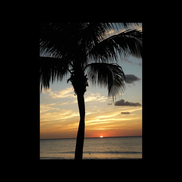 Hi y’all! - Picture 7 of 7